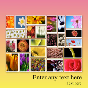Text Collage